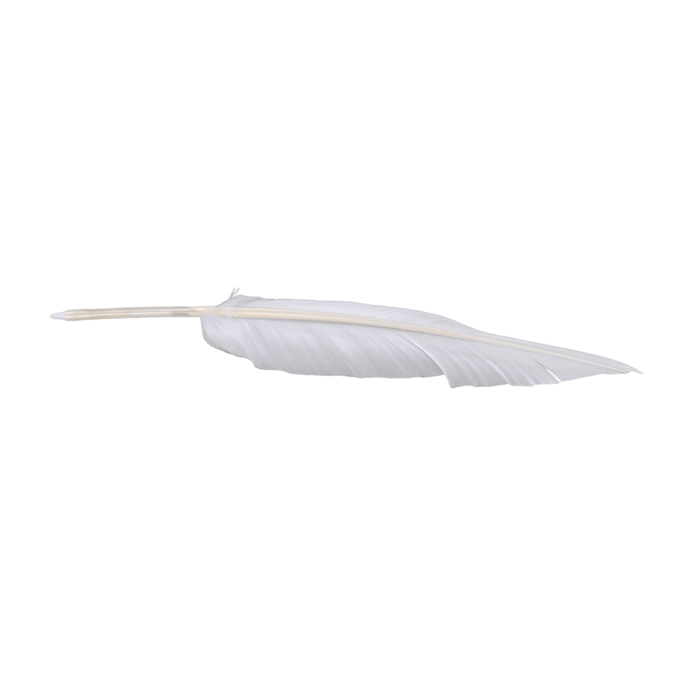Frieren Cosplay Prop - Acessórios de Cosplay Anime Sousou de